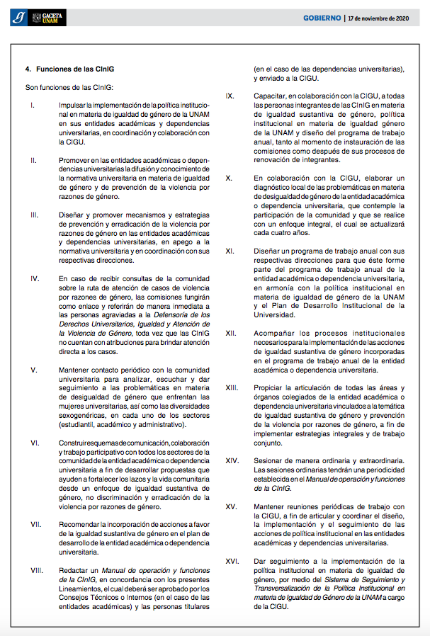 Lineamientos2