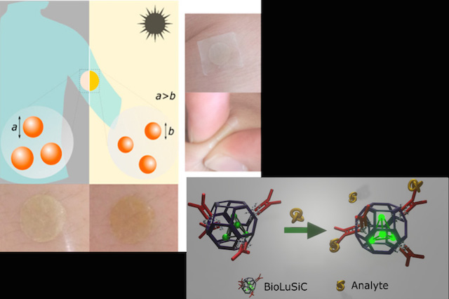 nanosensores